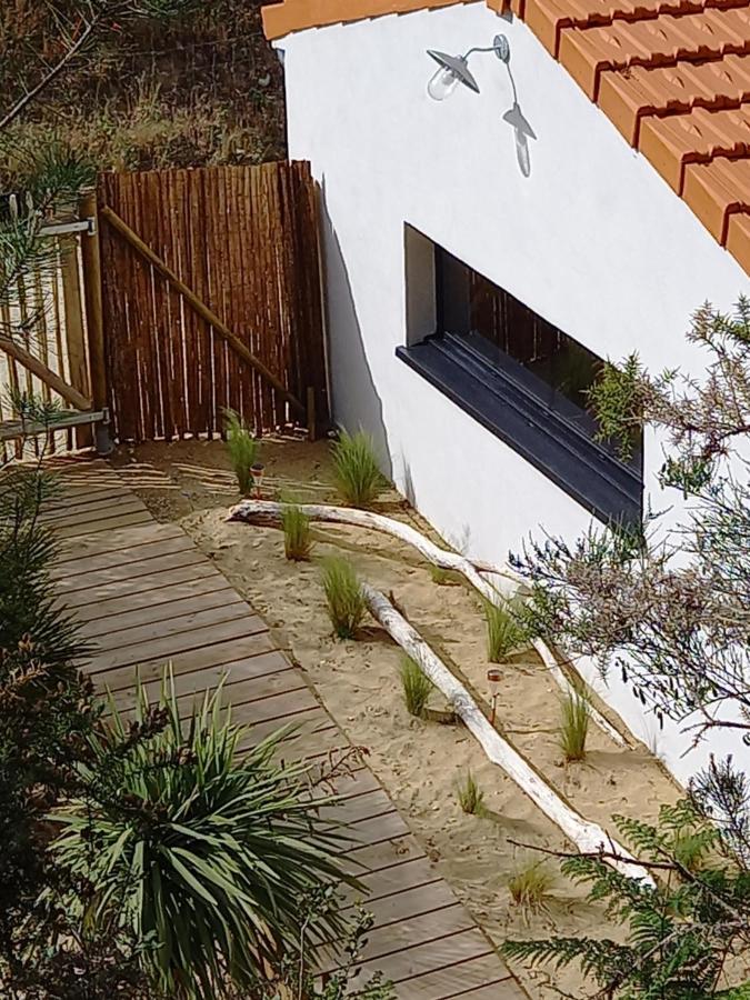 Cot'& Dune - Lodge D'Hote & Spa De Nage Saint-Augustin  ภายนอก รูปภาพ